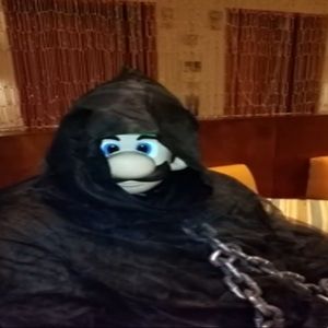 Meet your Posher, Robert